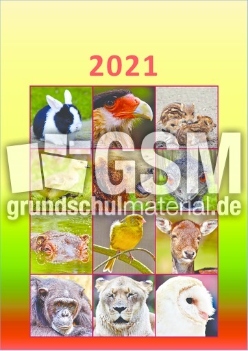 Tier_Kalender_2021_7.pdf